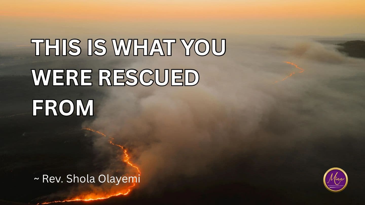 This Is What You Were Rescued From